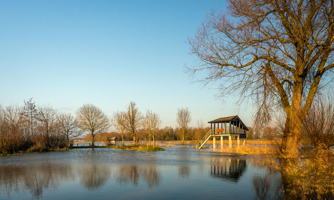 [Video] High water levels in the Netherlands