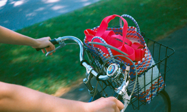 Spring / Summer Cycling in the Netherlands