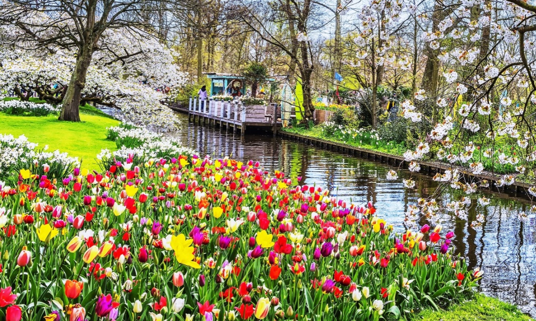 May 2024: 5 things expats in the Netherlands need to know