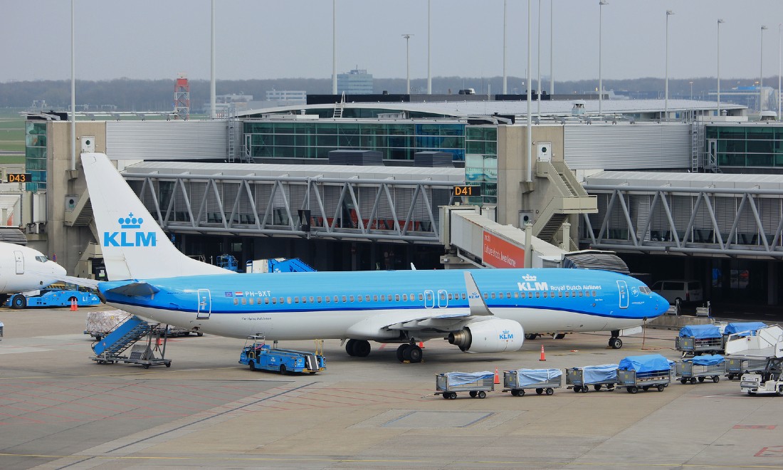 Trump bans all European flights to US