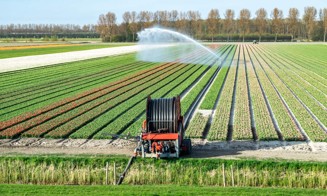 High levels of toxic substances in water in the Netherlands, study reveals