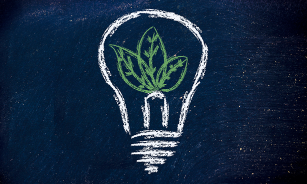 Going for green at the American School of The Hague