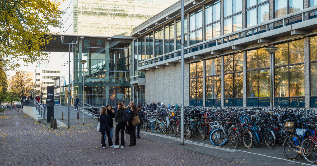 Limiting international students could cost Dutch economy billions, study shows