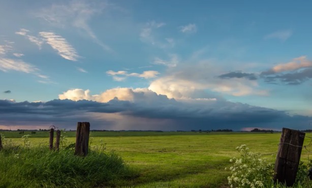 Time-lapse footage shows vibrancy of Dutch nature