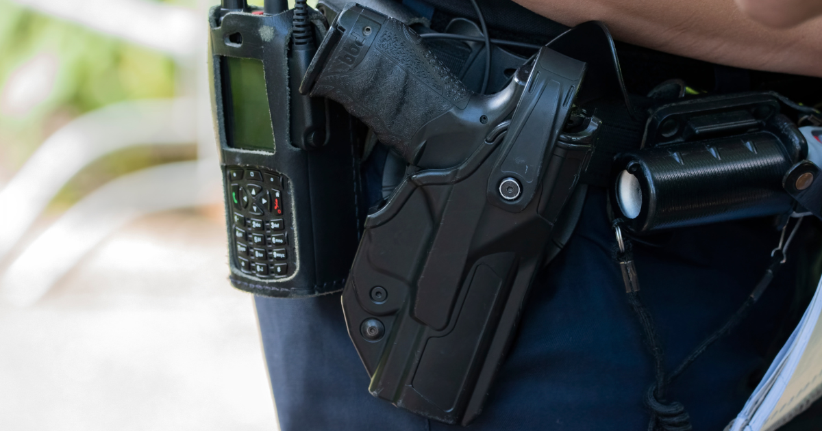 Gun laws in the Netherlands