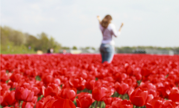 Life, love and learning as a newcomer to the Netherlands