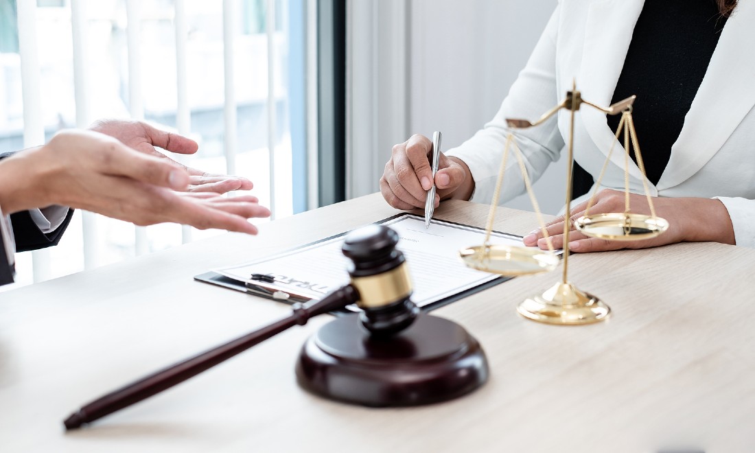 Pro bono legal assistance in the Netherlands