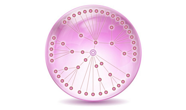 Dutch economy ranked the 6th most globalized in the world