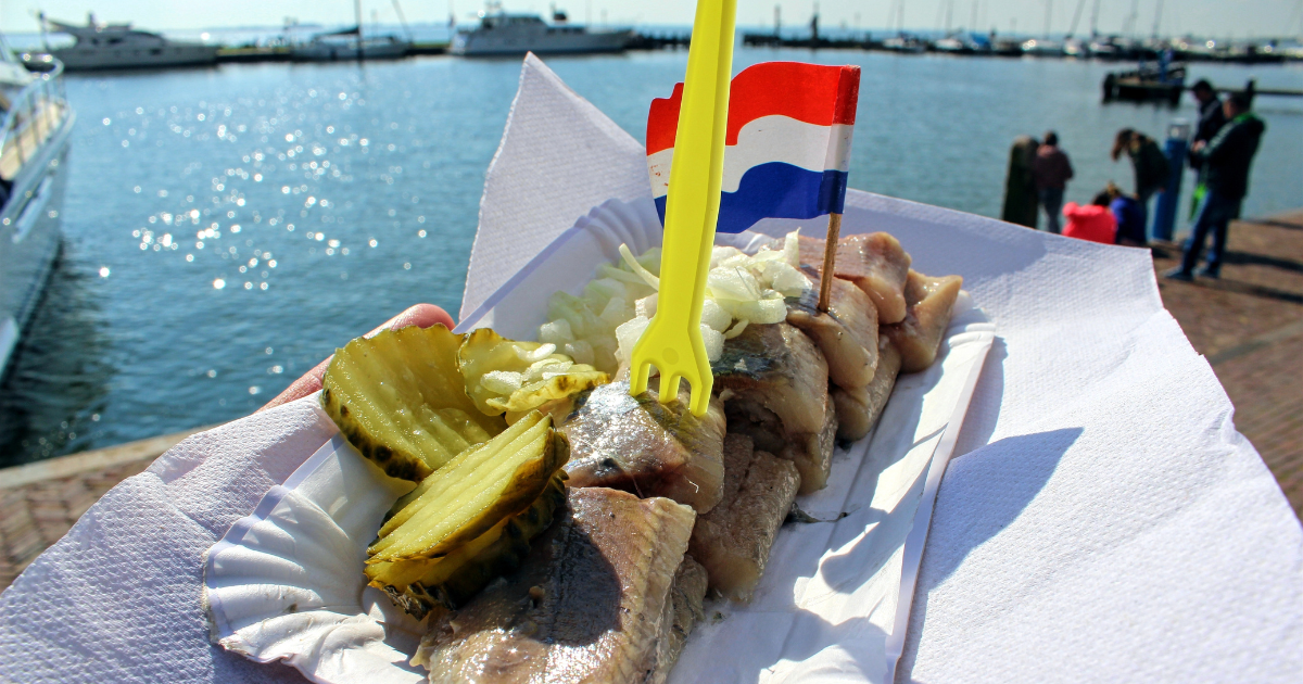 Dutch herring: The ultimate guide to the traditional snack in the Netherlands