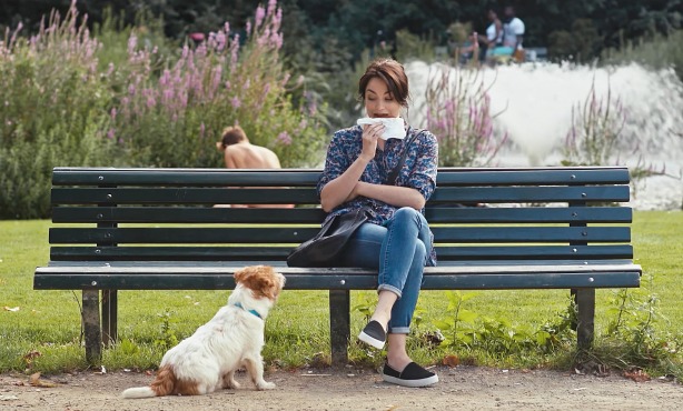 The Tale of Kat and Dog: A Holland Cool Movie