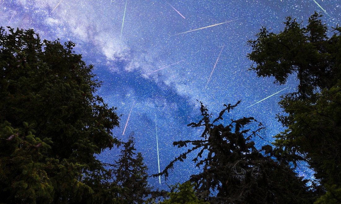 Don’t miss seeing the Delta Aquariid meteor shower this year