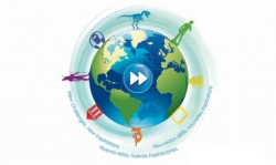 International Museum Day 2012