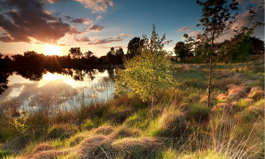 [Video] Exquisite natural areas in North-Brabant