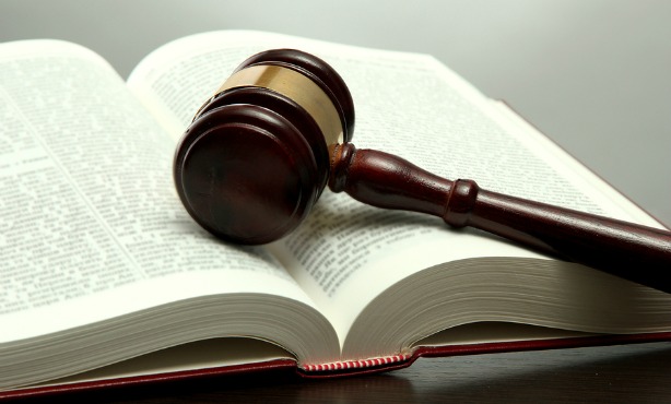 Latest Dutch legislation changes: wages, mortgages & pets