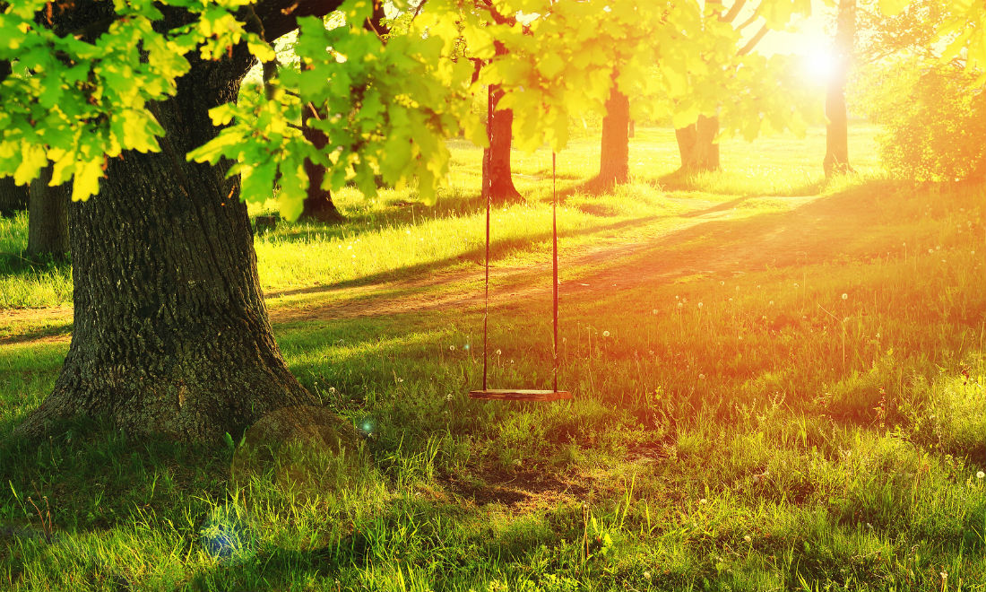 The swing under the old oak tree (and the priceless memories that accompany it)
