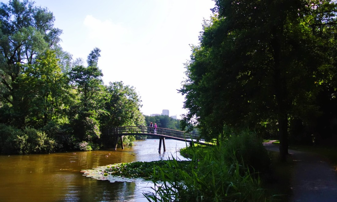 Interesting facts about The Hague Forest