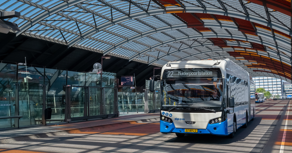 Why are Dutch buses and trams all honking their horns on June 10?