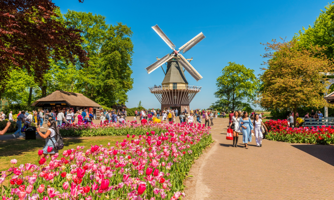 March 2025: 7 things expats in the Netherlands need to know
