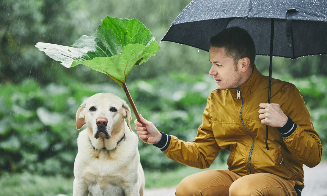 7 Dutch expressions about the weather